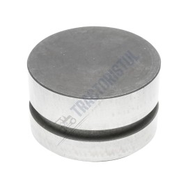 PISTON MONOBLOC FI 95