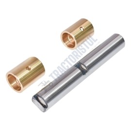 Pivot remorca RM2  cu bucsi