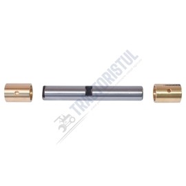 Pivot remorca RM2  cu bucsi